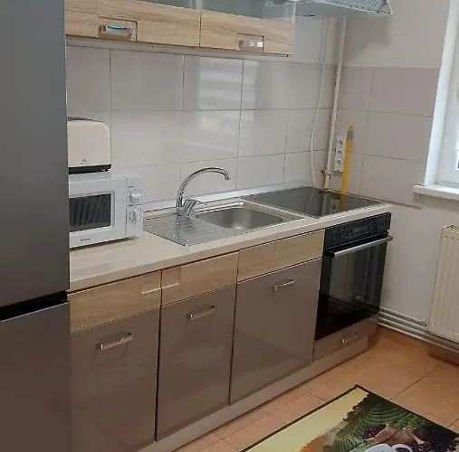 Garsoniera Bia شقة *